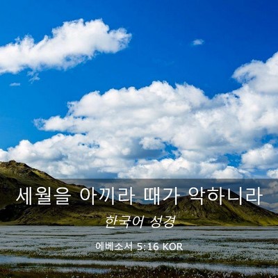 Picture 03 - 에베소서 5:16 KOR - 세월을 아끼라 때가 - Bible Verse Picture