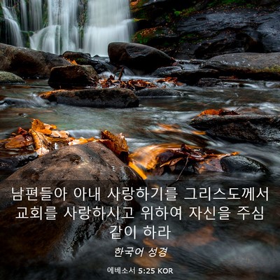 Picture 03 - 에베소서 5:25 KOR - 남편들아 아내 사랑하기를 - Bible Verse Picture