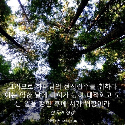 Picture 03 - 에베소서 6:13 KOR - 그러므로 하나님의 전신갑주를 - Bible Verse Picture
