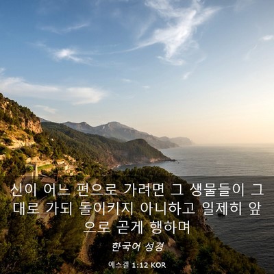 Picture 03 - 에스겔 1:12 KOR - 신이 어느 편으로 가려면 그 - Bible Verse Picture