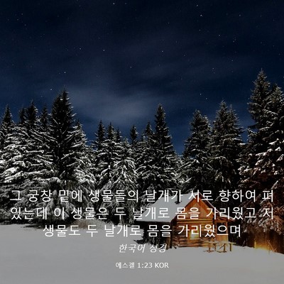 Picture 03 - 에스겔 1:23 KOR - 그 궁창 밑에 생물들의 날개가 서로 - Bible Verse Picture