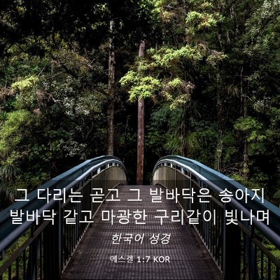 Picture 03 - 에스겔 1:7 KOR - 그 다리는 곧고 그 발바닥은 송아지 - Bible Verse Picture