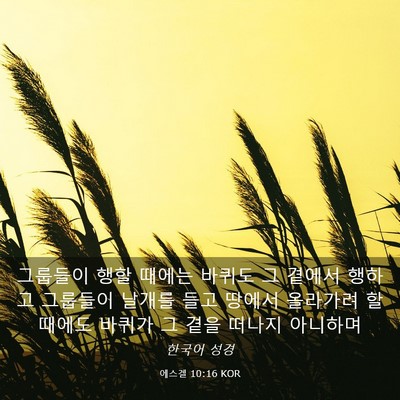 Picture 03 - 에스겔 10:16 KOR - 그룹들이 행할 때에는 바퀴도 그 - Bible Verse Picture