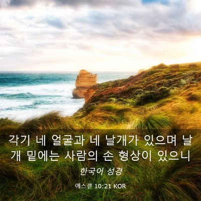 Picture 03 - 에스겔 10:21 KOR - 각기 네 얼굴과 네 날개가 있으며 - Bible Verse Picture