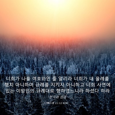 Picture 03 - 에스겔 11:12 KOR - 너희가 나를 여호와인 줄 알리라 - Bible Verse Picture