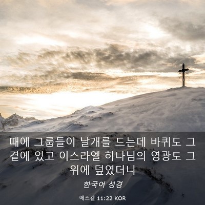 Picture 03 - 에스겔 11:22 KOR - 때에 그룹들이 날개를 드는데 바퀴도 - Bible Verse Picture