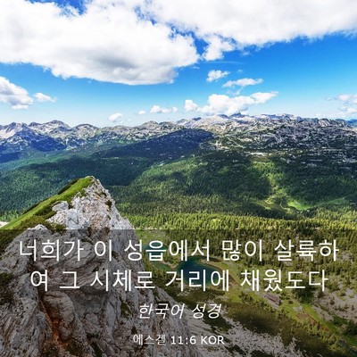 Picture 03 - 에스겔 11:6 KOR - 너희가 이 성읍에서 많이 살륙하여 - Bible Verse Picture