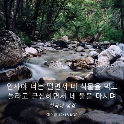 Picture 03 - 에스겔 12:18 KOR - 인자야 너는 떨면서 네 식물을 먹고 - Bible Verse Picture