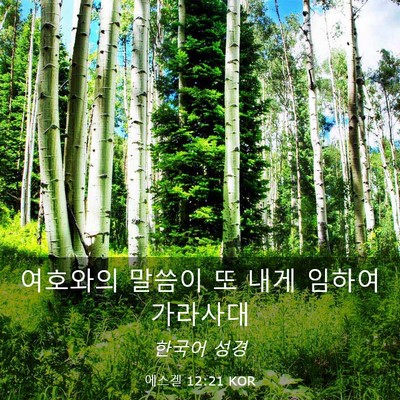 Picture 03 - 에스겔 12:21 KOR - 여호와의 말씀이 또 내게 임하여 - Bible Verse Picture