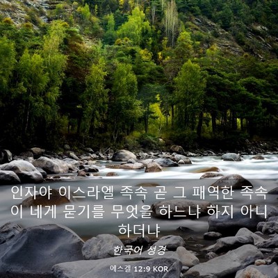 Picture 03 - 에스겔 12:9 KOR - 인자야 이스라엘 족속 곧 그 패역한 - Bible Verse Picture