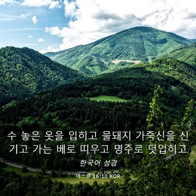 Picture 03 - 에스겔 16:10 KOR - 수 놓은 옷을 입히고 물돼지 - Bible Verse Picture