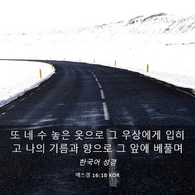Picture 03 - 에스겔 16:18 KOR - 또 네 수 놓은 옷으로 그 우상에게 - Bible Verse Picture