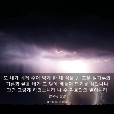 Picture 03 - 에스겔 16:19 KOR - 또 내가 네게 주어 먹게 한 내 식물 - Bible Verse Picture