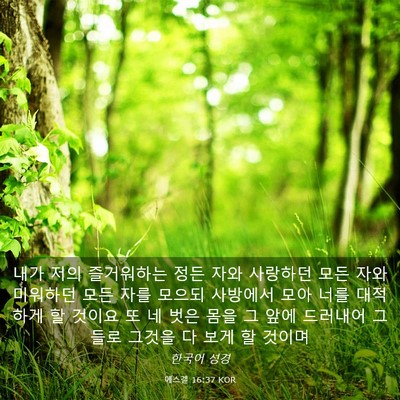 Picture 03 - 에스겔 16:37 KOR - 내가 저의 즐거워하는 정든 자와 - Bible Verse Picture