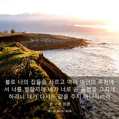 Picture 03 - 에스겔 16:41 KOR - 불로 너의 집들을 사르고 여러 - Bible Verse Picture