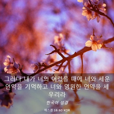Picture 03 - 에스겔 16:60 KOR - 그러나 내가 너의 어렸을 때에 너와 - Bible Verse Picture