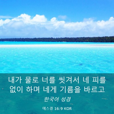 Picture 03 - 에스겔 16:9 KOR - 내가 물로 너를 씻겨서 네 피를 없이 - Bible Verse Picture