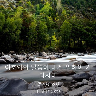 Picture 03 - 에스겔 17:1 KOR - 여호와의 말씀이 내게 임하여 - Bible Verse Picture