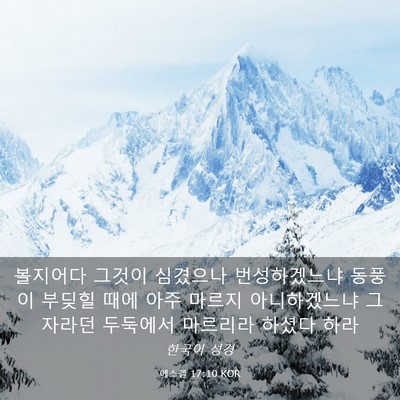 Picture 03 - 에스겔 17:10 KOR - 볼지어다 그것이 심겼으나 - Bible Verse Picture