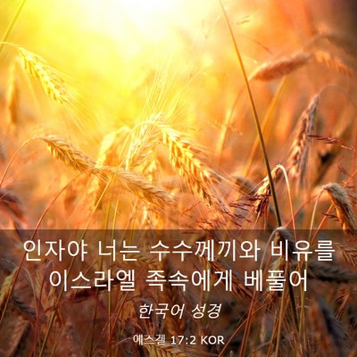 Picture 03 - 에스겔 17:2 KOR - 인자야 너는 수수께끼와 비유를 - Bible Verse Picture