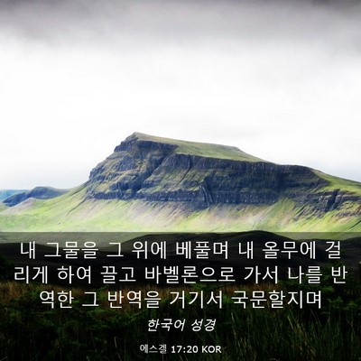 Picture 03 - 에스겔 17:20 KOR - 내 그물을 그 위에 베풀며 내 올무에 - Bible Verse Picture