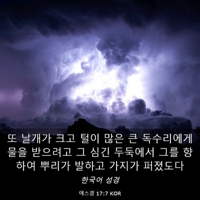 Picture 03 - 에스겔 17:7 KOR - 또 날개가 크고 털이 많은 큰 - Bible Verse Picture