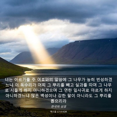 Picture 03 - 에스겔 17:9 KOR - 너는 이르기를 주 여호와의 말씀에 - Bible Verse Picture