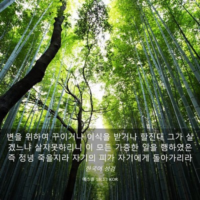 Picture 03 - 에스겔 18:13 KOR - 변을 위하여 꾸이거나 이식을 받거나 - Bible Verse Picture