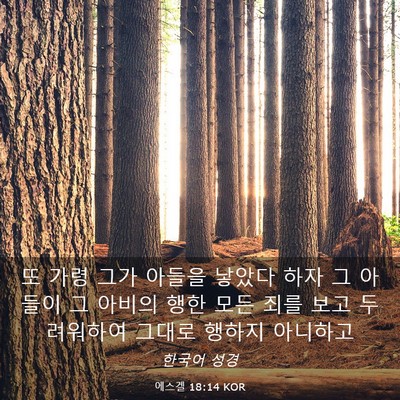 Picture 03 - 에스겔 18:14 KOR - 또 가령 그가 아들을 낳았다 하자 그 - Bible Verse Picture