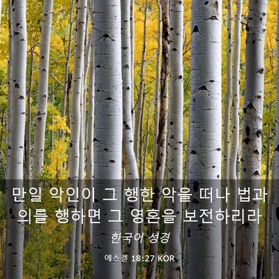 Picture 03 - 에스겔 18:27 KOR - 만일 악인이 그 행한 악을 떠나 법과 - Bible Verse Picture