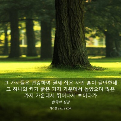 Picture 03 - 에스겔 19:11 KOR - 그 가지들은 견강하여 권세 잡은 - Bible Verse Picture