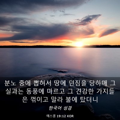 Picture 03 - 에스겔 19:12 KOR - 분노 중에 뽑혀서 땅에 던짐을 - Bible Verse Picture