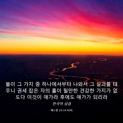 Picture 03 - 에스겔 19:14 KOR - 불이 그 가지 중 하나에서부터 - Bible Verse Picture