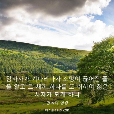 Picture 03 - 에스겔 19:5 KOR - 암사자가 기다리다가 소망이 끊어진 - Bible Verse Picture