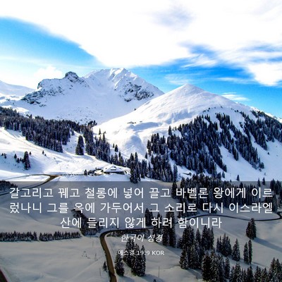 Picture 03 - 에스겔 19:9 KOR - 갈고리고 꿰고 철롱에 넣어 끌고 - Bible Verse Picture
