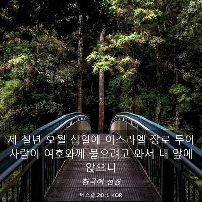 Picture 03 - 에스겔 20:1 KOR - 제 칠년 오월 십일에 이스라엘 장로 - Bible Verse Picture