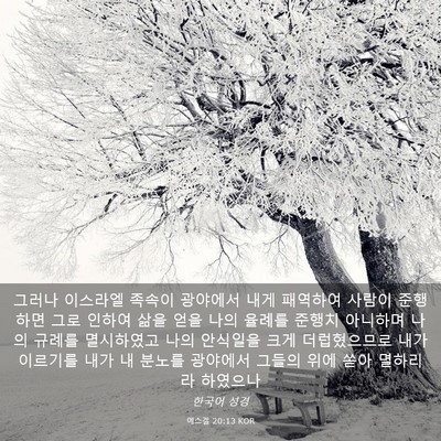 Picture 03 - 에스겔 20:13 KOR - 그러나 이스라엘 족속이 광야에서 - Bible Verse Picture
