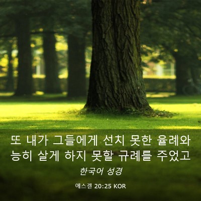Picture 03 - 에스겔 20:25 KOR - 또 내가 그들에게 선치 못한 율례와 - Bible Verse Picture