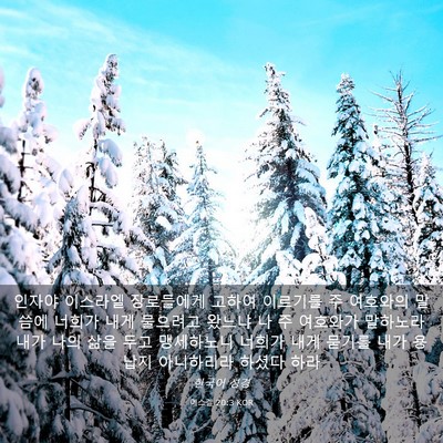 Picture 03 - 에스겔 20:3 KOR - 인자야 이스라엘 장로들에게 고하여 - Bible Verse Picture