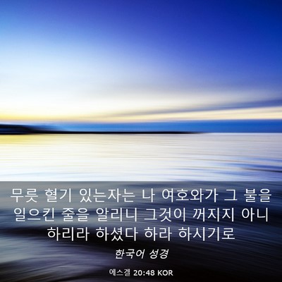 Picture 03 - 에스겔 20:48 KOR - 무릇 혈기 있는자는 나 여호와가 그 - Bible Verse Picture