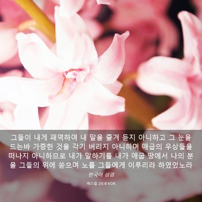 Picture 03 - 에스겔 20:8 KOR - 그들이 내게 패역하여 내 말을 즐겨 - Bible Verse Picture