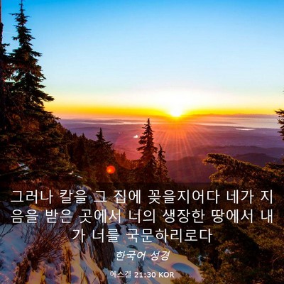 Picture 03 - 에스겔 21:30 KOR - 그러나 칼을 그 집에 꽂을지어다 - Bible Verse Picture