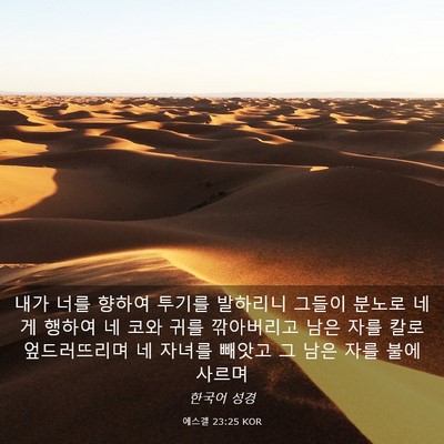 Picture 03 - 에스겔 23:25 KOR - 내가 너를 향하여 투기를 발하리니 - Bible Verse Picture