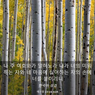 Picture 03 - 에스겔 23:28 KOR - 나 주 여호와가 말하노라 내가 너의 - Bible Verse Picture