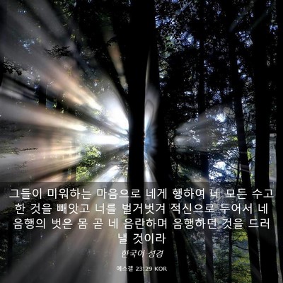 Picture 03 - 에스겔 23:29 KOR - 그들이 미워하는 마음으로 네게 - Bible Verse Picture