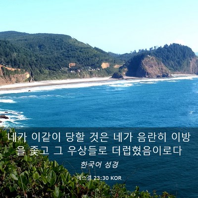 Picture 03 - 에스겔 23:30 KOR - 네가 이같이 당할 것은 네가 음란히 - Bible Verse Picture