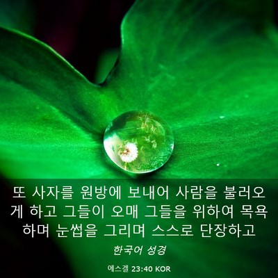 Picture 03 - 에스겔 23:40 KOR - 또 사자를 원방에 보내어 사람을 - Bible Verse Picture