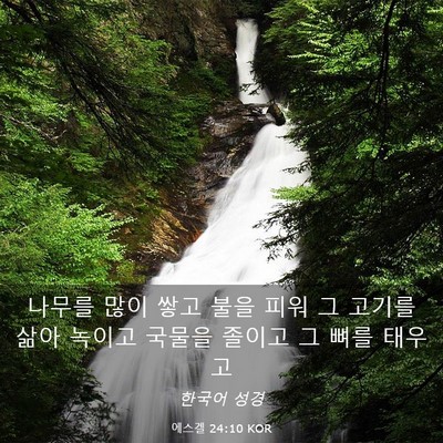 Picture 03 - 에스겔 24:10 KOR - 나무를 많이 쌓고 불을 피워 그 - Bible Verse Picture