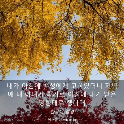 Picture 03 - 에스겔 24:18 KOR - 내가 아침에 백성에게 고하였더니 - Bible Verse Picture