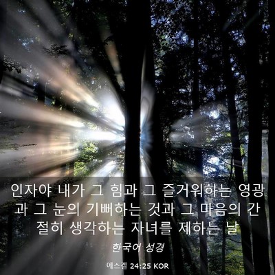 Picture 03 - 에스겔 24:25 KOR - 인자야 내가 그 힘과 그 즐거워하는 - Bible Verse Picture